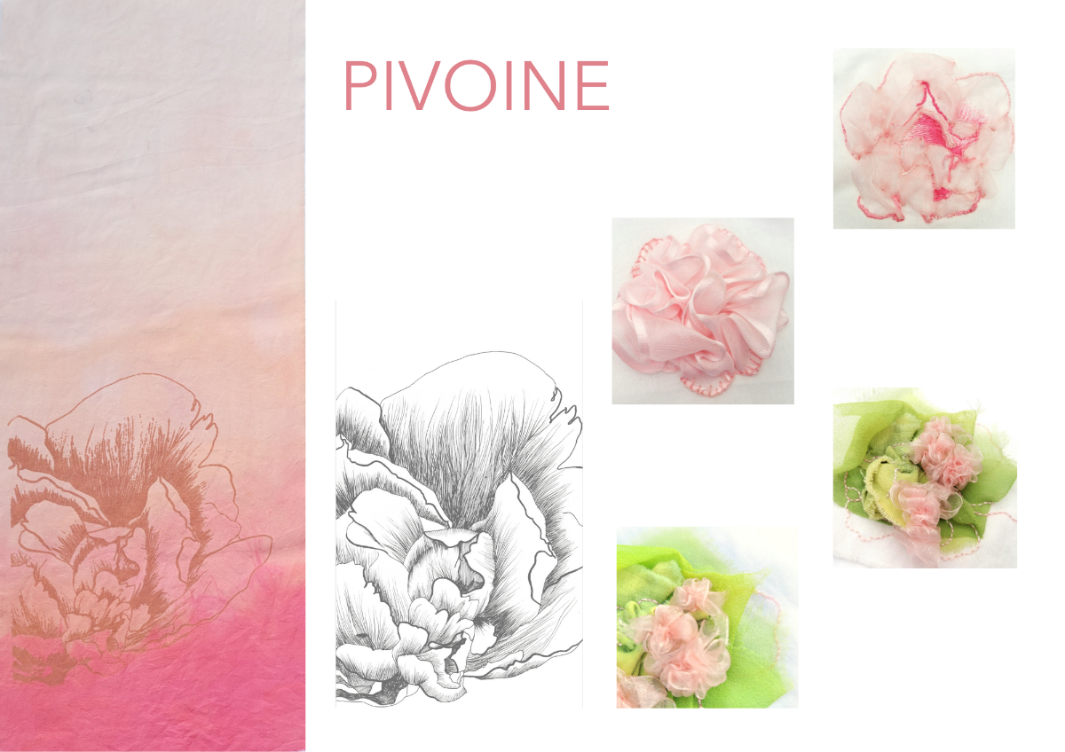 Pivoine et Cléome